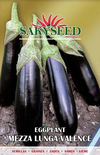 MELANZANA MEZZA LUNGA VALENCE NR.100 SEMI